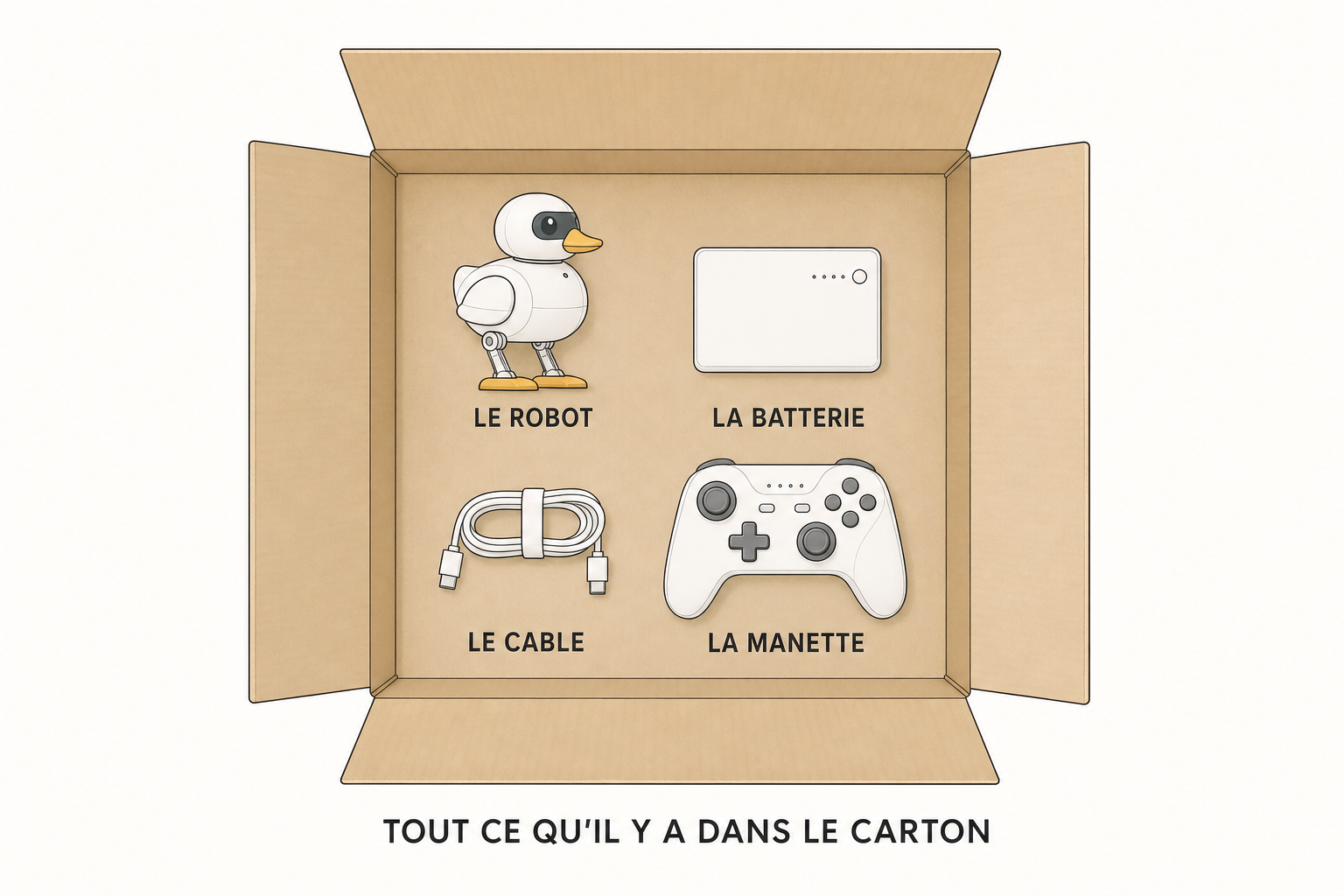 Le contenu du carton vu de dessus, le robot, la batterie, un cable et une manette de jeu
